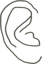 ear