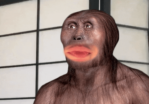 Australopitacus